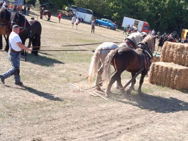 IMG_20260808_153727